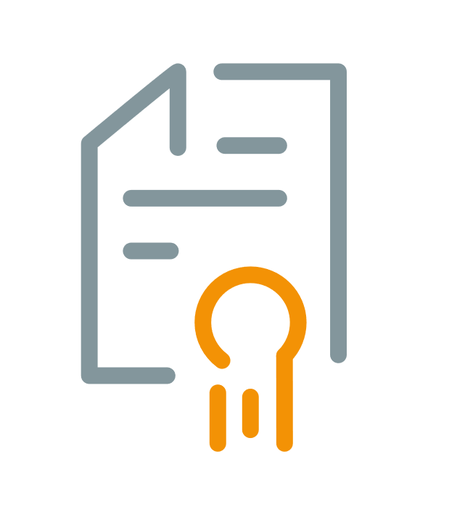 IT-Schulungen und -Workshops